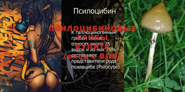 стафф Лысково