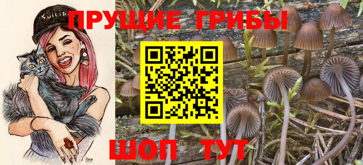 Галлюциногенные грибы ЛСД Усолье-Сибирское